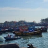 Những tàu cá "3 không" đã được UBND tỉnh chỉ đạo các địa phương phải sắp xếp những nơi đậu riêng để dễ kiểm tra, giám sát chặt chẽ. (Ảnh: TTXVN phát)