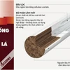 "Mổ xẻ" một điếu thuốc lá làm nóng.