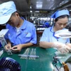 Doanh nghiệp đầu tư công nghệ, nâng cao giá trị xuất khẩu. (Ảnh: Đức Duy/Vietnam+)