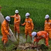 Phỏng vấn đại diện Điện lực Đông Triều, tỉnh Quảng Ninh, về công tác khắc phục sự cố điện sau bão số 3. (Ảnh: Lê Phương/TTXVN)