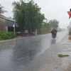 Cơn mưa "giải nhiệt" cái nóng ở tỉnh Trà Vinh. (Ảnh: Thanh Hòa/TTXVN)