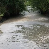Suối Bà Sự dẫn nguồn nước ô nhiễm đổ trực tiếp vào sông Vàm Cỏ Đông, đoạn tiếp giáp biên giới Campuchia. (Ảnh: Minh Phú/TTXVN)