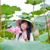 Sen Bách Diệp Hồ Tây - mang sắc hương thanh khiết của đất trời