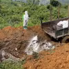 Tiêu hủy lợn mắc bệnh dịch tả lợn châu Phi. (Ảnh minh họa: TTXVN phát)