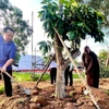 Lãnh đạo Thành ủy, UBND thành phố Thủ Dầu Một, tỉnh Bình Dương tham gia trồng cây ăn quả phủ xanh đất công để tạo công viên. (Ảnh: TTXVN phát)