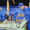 Công nhân vận chuyển, bốc xếp sản phẩm phân bón mới lên xe của khách hàng. (Ảnh: Tạ Toàn/TTXVN)