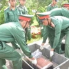 Nghi thức hạ quan hài cốt các liệt sỹ. (Ảnh: Nguyên Dung/TTXVN)