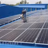 Ảnh minh họa. (Ảnh: PV/Vietnam+) 