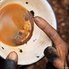 Sập mỏ vàng tại Zimbabwe khiến ít nhất 3 thợ mỏ thiệt mạng
