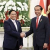 Thủ tướng Phạm Minh Chính hội kiến Tổng thống Indonesia Joko Widodo. (Ảnh: Dương Giang/TTXVN)
