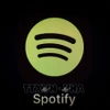 Biểu tượng của dịch vụ phát nhạc số Spotify. (Ảnh minh họa: AFP/TTXVN) 