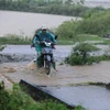 Mưa lớn gây ngập cầu trên đường xã Sủi Ngòi phường Quỳnh Lâm, thành phố Hòa Bình. (Ảnh: Trọng Đạt/TTXVN)