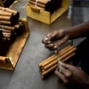 Công nhân đóng gói xì gà tại nhà máy ở La Habana, Cuba. (Ảnh: AFP/TTXVN)