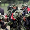 Nhóm vũ trang Quân đội Giải phóng Quốc gia (ELN) . (Nguồn: AA)