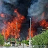 Hiện trường đám cháy rừng ở Irini, phía Đông thủ đô Athens, Hy Lạp. (Ảnh: AFP/TTXVN)