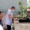Xã Đồng Tháp (huyện Đan Phượng) hiện đang là điểm nóng về dịch sốt xuất huyết với 36 ca mắc mới trong tuần. (Ảnh: Minh Quyết/TTXVN)