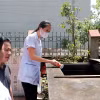 Xã Đồng Tháp (huyện Đan Phượng) hiện đang là điểm nóng về dịch sốt xuất huyết với 36 ca mắc mới trong tuần. (Ảnh: Minh Quyết/TTXVN)