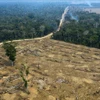Một khoảng rừng Amazon bị thiêu rụi ở gần Porto Velho, bang Rondonia, Brazil. (Ảnh tư liệu: AFP/TTXVN)