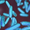 Một loại vi khuẩn. (Ảnh: Shutterstock) 