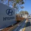 Biểu tượng Hyundai tại một nhà máy của hãng ở Asan, phía nam thủ đô Seoul, Hàn Quốc. (Ảnh minh họa: AFP/TTXVN)
