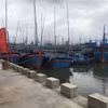 Cảng cá Tam Quan tại Bình Định là cảng cá loại II. (Ảnh: Phạm Kha/TTXVN)