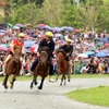 Các nài ngựa tranh tài trên đường đua. (Ảnh: Quốc Khánh/TTXVN)