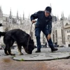 Cảnh sát Italy đưa chó nghiệp vụ đi kiểm tra an ninh. (Ảnh: EPA/TTXVN)
