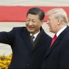 Chủ tịch Trung Quốc Tập Cận Bình và Tổng thống đắc cử Mỹ Donald Trump. (Nguồn: bloomberg)