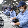 Dây chuyền sản xuất của một doanh nghiệp vốn FDI. (Ảnh: Danh Lam/TTXVN)