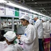 Một dây chuyền lắp ráp iPhone tại Ấn Độ. (Nguồn: Bloomberg)