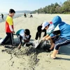 Học sinh trên đảo Cô Tô thu gom rác thải, dọn sạch bãi biển. (Ảnh: TTXVN phát)