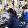 Nhiều địa phương lớn có tỷ lệ lao động quay lại làm việc đạt 100% sau Tết Nguyên đán. (Ảnh: Đức Duy/Vietnam+)