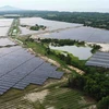 Nhà máy Điện mặt trời Cẩm Hòa có diện tích 60 ha, được lắp đặt 152.670 tấm pin mặt trời và giá đỡ (tương đương 5.089 giàn pin). (Ảnh: Vũ Sinh/TTXVN)