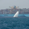 Tàu chở hàng hóa của hãng vận tải Maersk. (Ảnh: AFP/TTXVN)