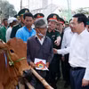 Chủ tịch nước tặng bò cho hộ nghèo tại "Xuân biên phòng ấm lòng dân bản"