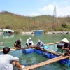 Ngư dân đan lại lưới, sửa bè để chờ có con giống thả lại. (Ảnh: Thanh Vân/TTXVN)