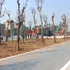 Hà Nội: Xây dựng công viên cây xanh trên đất vi phạm ở Đông Anh