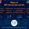 [Infographics] Giảm phát thải để bảo vệ các rạn san hô trên thế giới