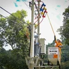 Công nhân Điện lực Mường Chà (tỉnh Điện Biên) đóng điện tại bản Hô Củng, xã Chà Tở, huyện Nậm Pồ . (Ảnh: Xuân Tư/TTXVN)