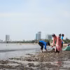 Làm vệ sinh môi trường biển, thu gom xử lý rác thải nhựa. (Ảnh: PV/Vietnam+) 