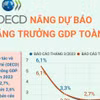 [Infographics] OECD nâng dự báo tăng trưởng GDP toàn cầu