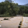 Ảnh minh họa. (Ảnh: Trọng Đạt/TTXVN)