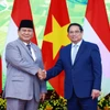 Thủ tướng Phạm Minh Chính hội kiến Tổng thống đắc cử Cộng hoà Indonesia Prabowo Subianto. (Ảnh: Dương Giang /TTXVN)