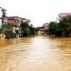 Một điểm các nhà dân bị ngập sâu tại trung tâm huyện Lệ Thủy, Quảng Bình. (Ảnh: Tá Chuyên/TTXVN)