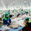 Hoạt động sản xuất tại Công ty trách nhiệm hữu hạn Innoflow NT, Khu Công nghiệp Du Long (Thuận Bắc, Ninh Thuận). (Ảnh: TTXVN phát)