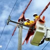Điện lực là một trong những lĩnh vực doanh nghiệp nhà nước giữ vai trò chủ chốt. (Ảnh: TTXVN phát)