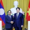Chủ tịch nước Lương Cường tiếp đồng chí Bounthong Chitmany, Ủy viên Bộ Chính trị, Thường trực Ban Bí thư Đảng Nhân dân Cách mạng Lào, Phó Chủ tịch nước Lào. (Ảnh: Lâm Khánh/TTXVN)