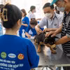 Lực lượng thú y tiêm phòng dại cho chó. (Ảnh: Thanh Bình/TTXVN)