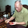 Cựu chiến binh Đỗ Tiến được tặng thưởng nhiều Huân chương, Huy chương khi tham gia chiến đấu trong chiến dịch Điện Biên Phủ. (Ảnh: Quang Cường/TTXVN)