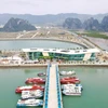 Tại cảng tàu khách quốc tế Ao Tiên, du khách được vận động để lại rác thải nhựa (chai lọ, cốc, túi nilon) ngay tại khu vực tập kết tại các cổng xuất bến ra đảo Vân Đồn .(Ảnh: TTXVN phát)